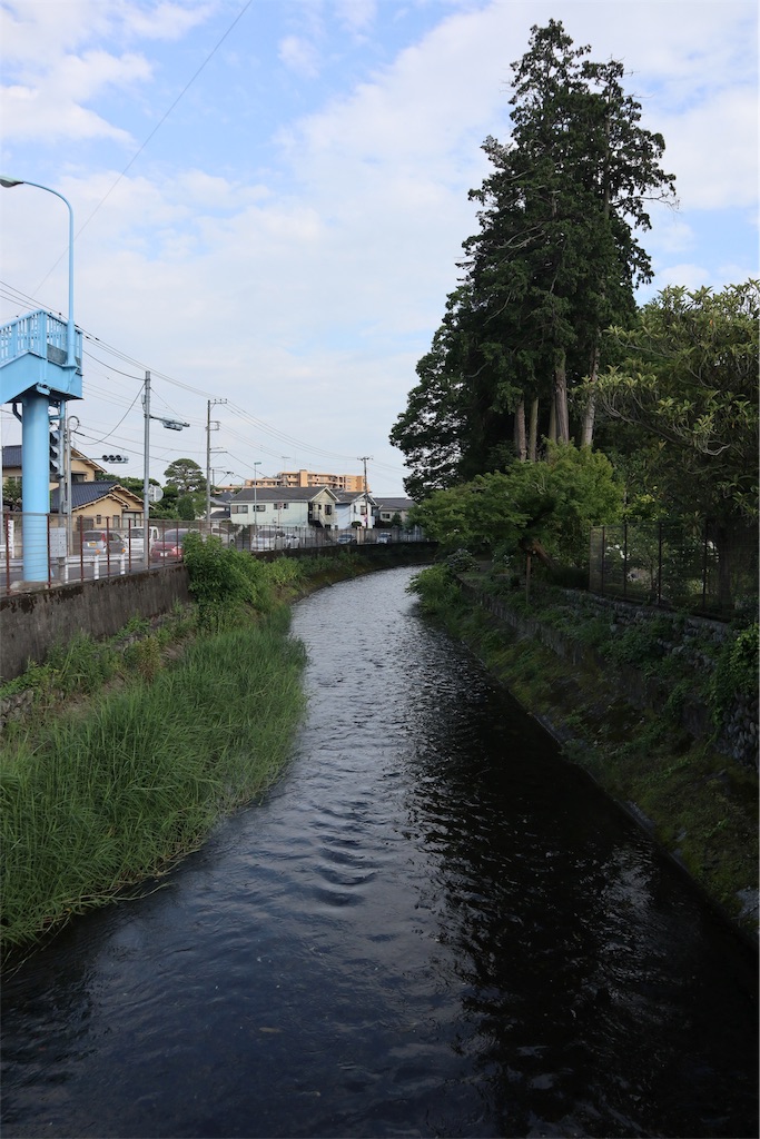 f:id:chizuchizuko:20190108193952j:image