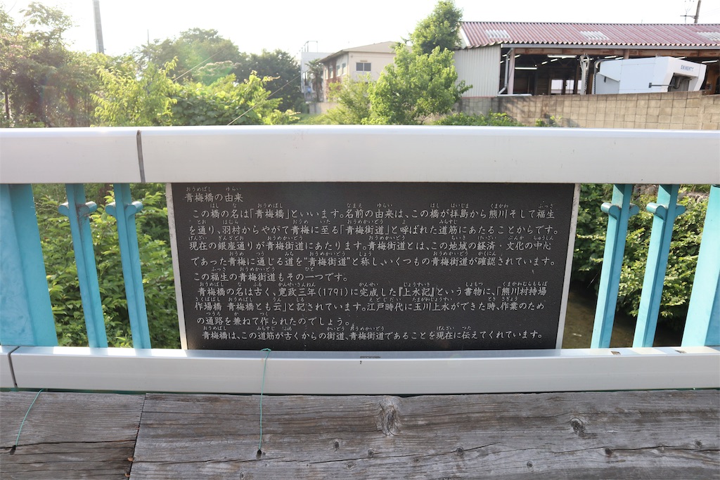 f:id:chizuchizuko:20190108194346j:image
