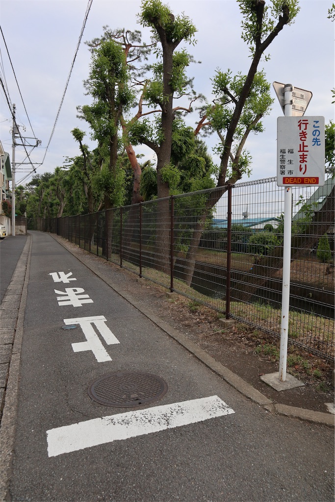 f:id:chizuchizuko:20190108194417j:image
