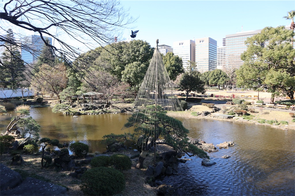 f:id:chizuchizuko:20190124203843j:image