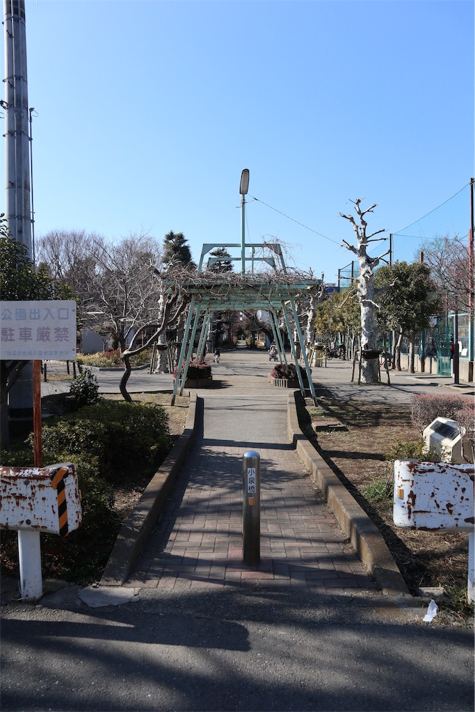 f:id:chizuchizuko:20190203201910j:image