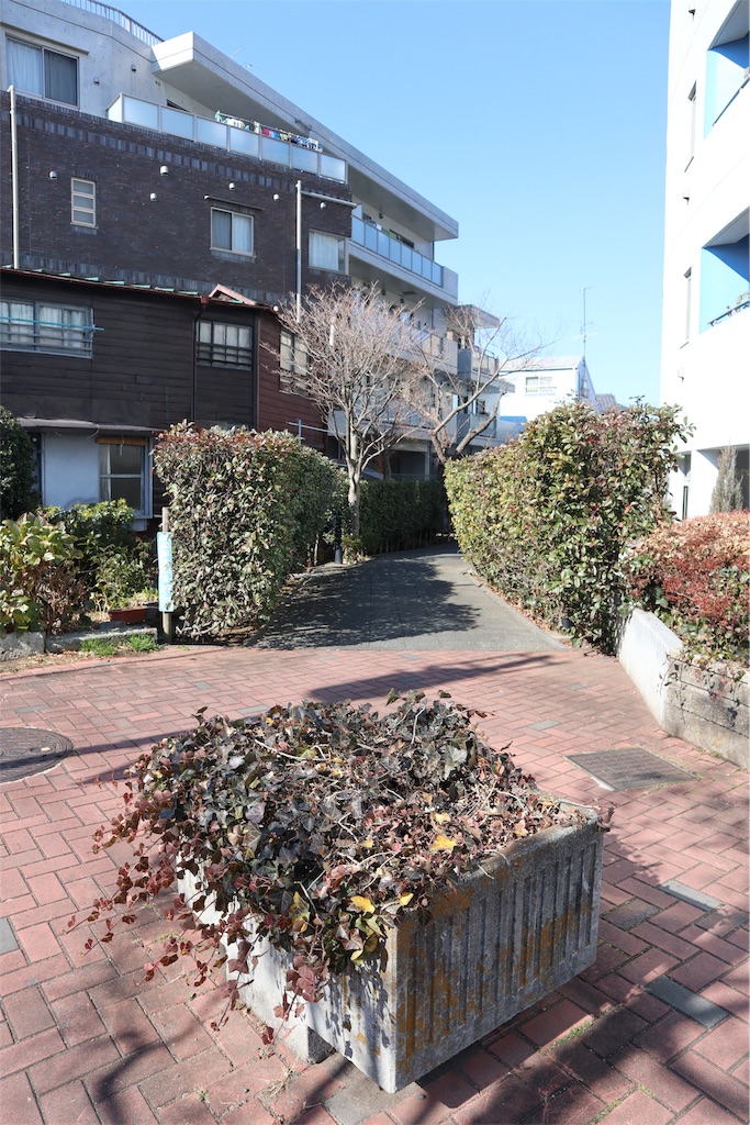 f:id:chizuchizuko:20190203202004j:image