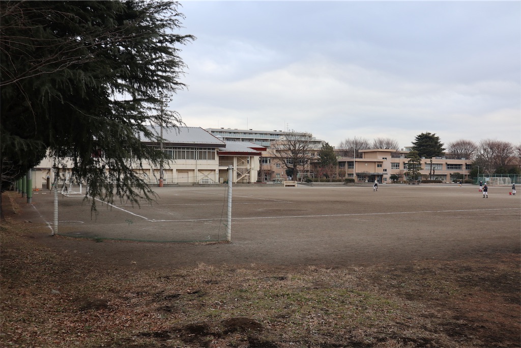 f:id:chizuchizuko:20190211204237j:image