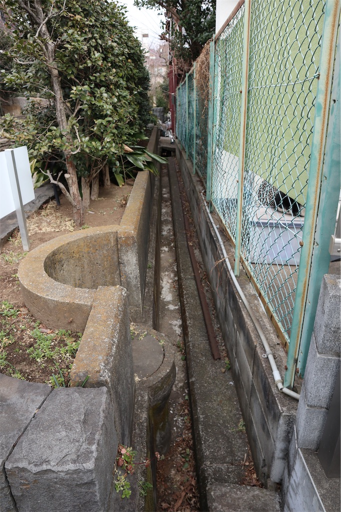 f:id:chizuchizuko:20190217211659j:image