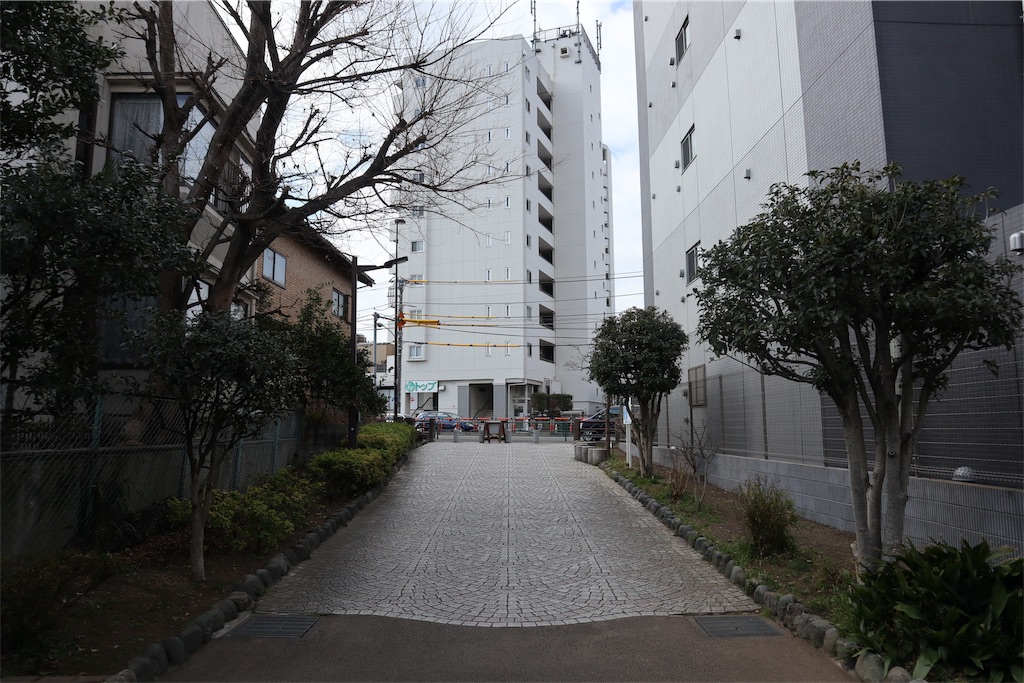 f:id:chizuchizuko:20190217211953j:image