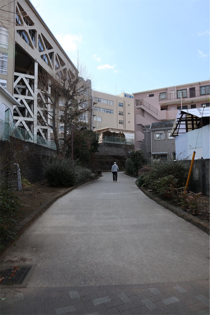 f:id:chizuchizuko:20190217212032j:image