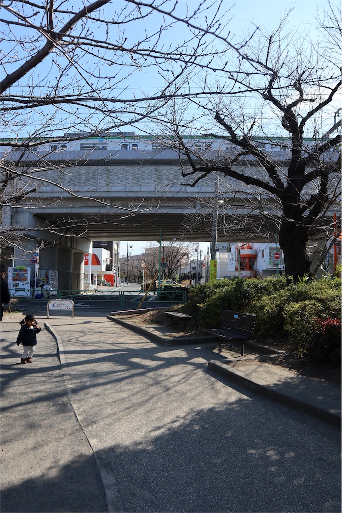 f:id:chizuchizuko:20190217212541j:image