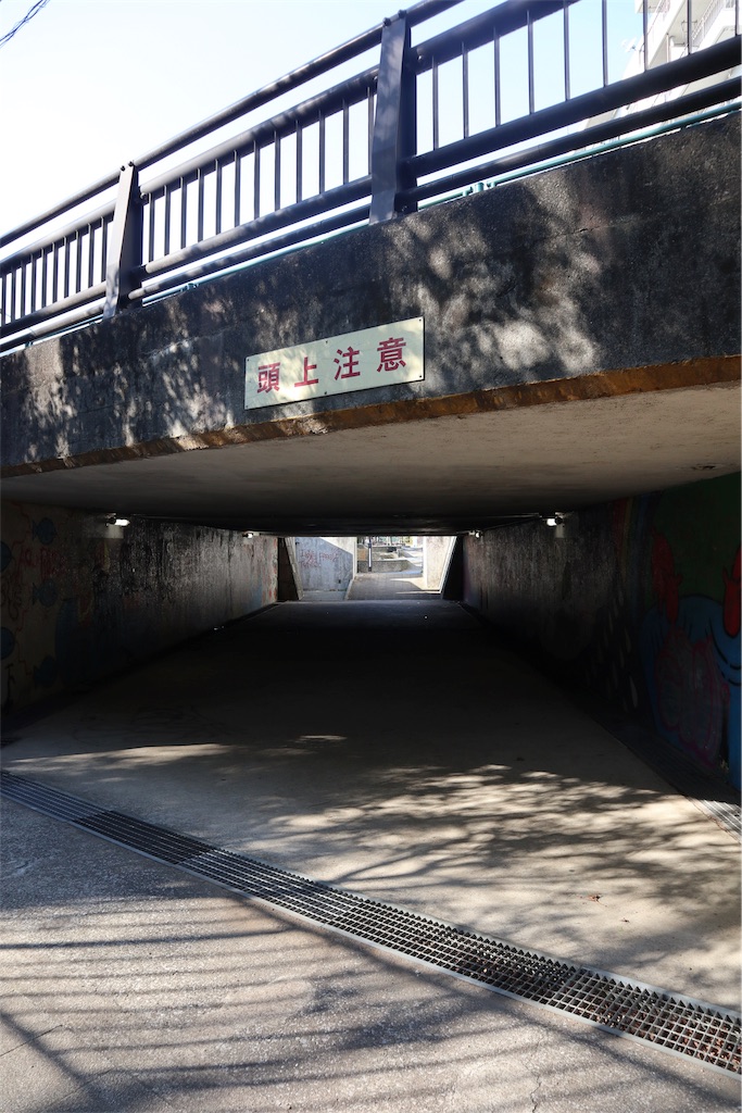 f:id:chizuchizuko:20190217212609j:image