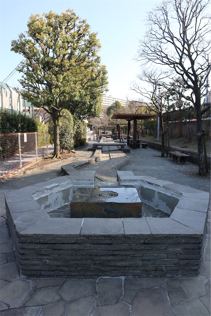 f:id:chizuchizuko:20190217212651j:image