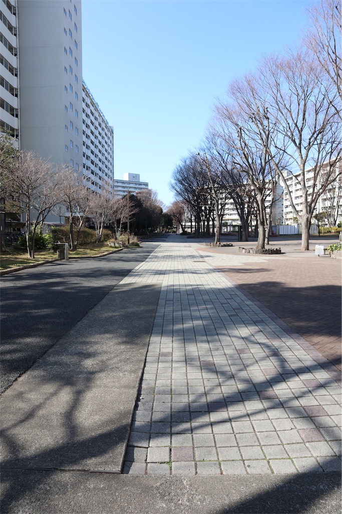 f:id:chizuchizuko:20190217212722j:image