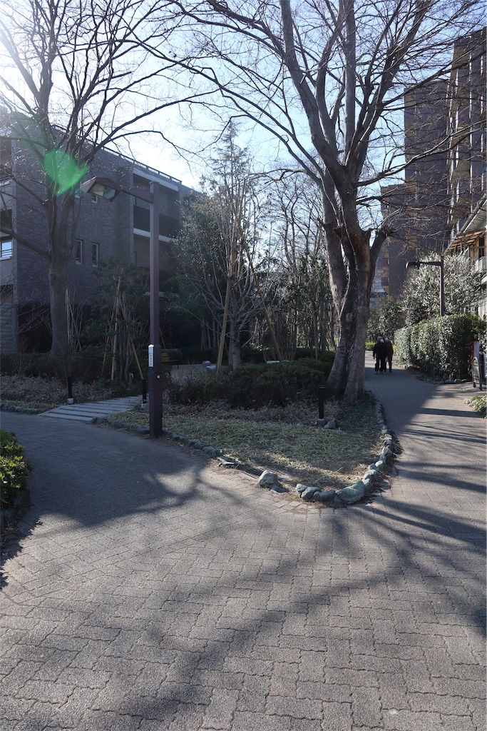 f:id:chizuchizuko:20190217213126j:image