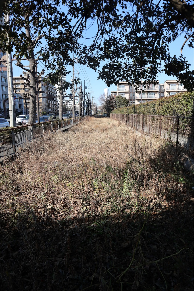 f:id:chizuchizuko:20190217213135j:image
