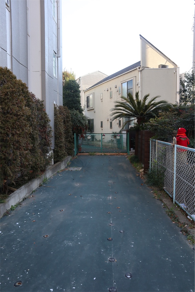 f:id:chizuchizuko:20190217213142j:image