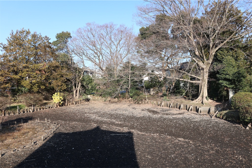 f:id:chizuchizuko:20190217213220j:image