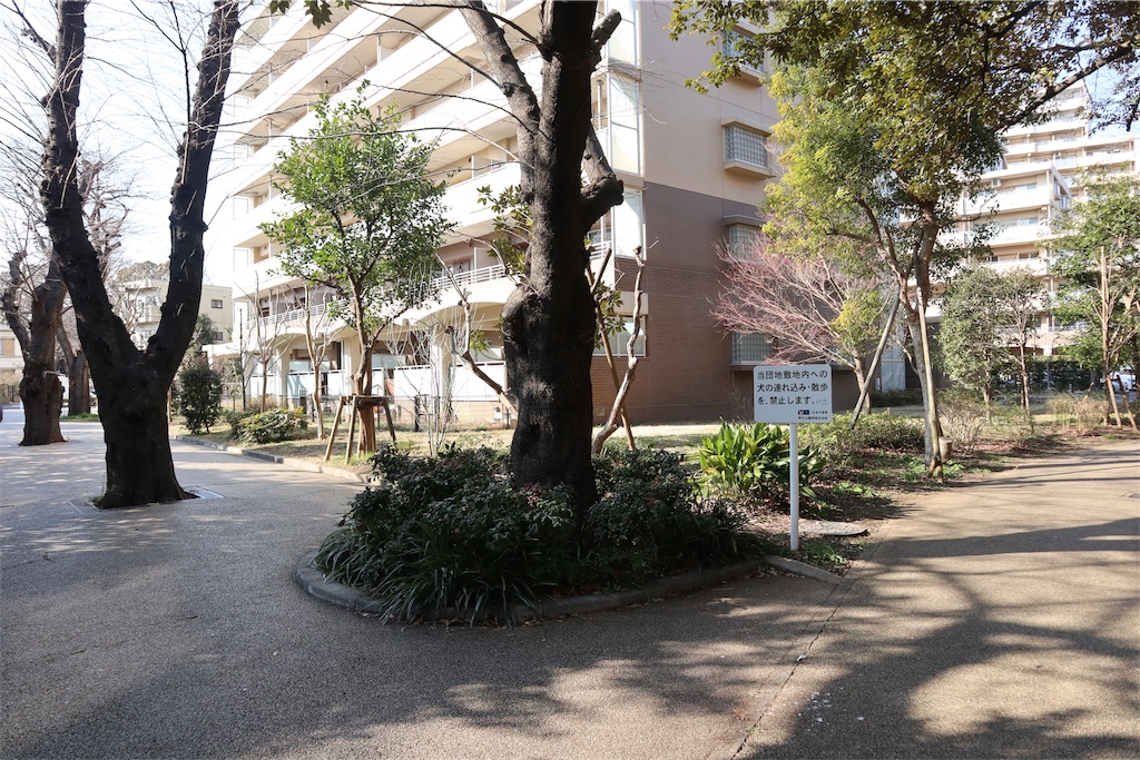 f:id:chizuchizuko:20190217213230j:image