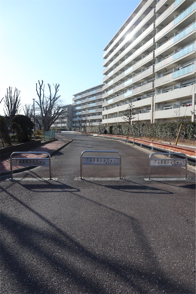 f:id:chizuchizuko:20190217213238j:image