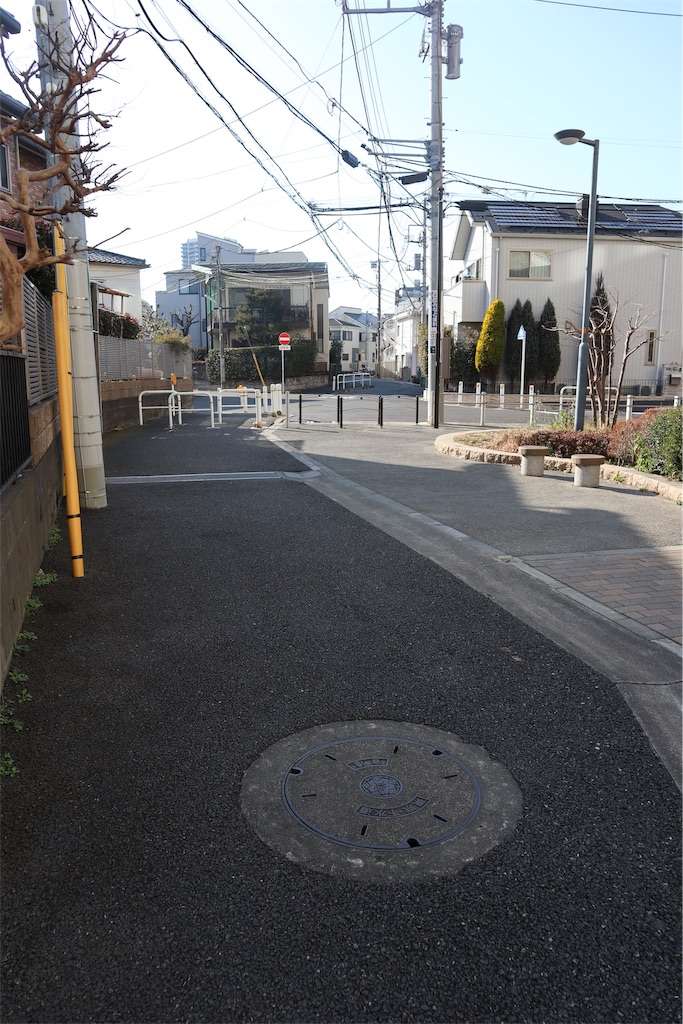 f:id:chizuchizuko:20190217213246j:image