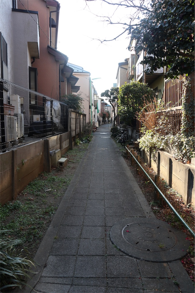 f:id:chizuchizuko:20190217213305j:image