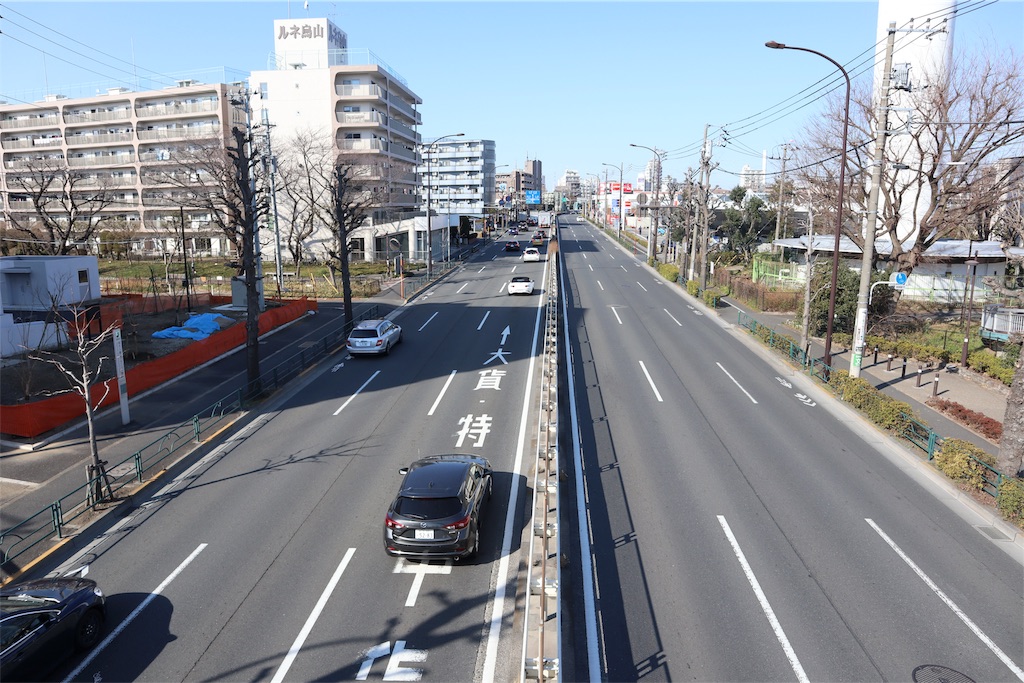 f:id:chizuchizuko:20190217213314j:image