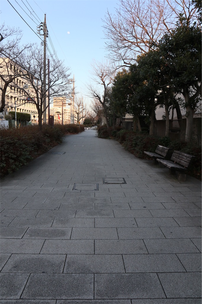 f:id:chizuchizuko:20190217213935j:image