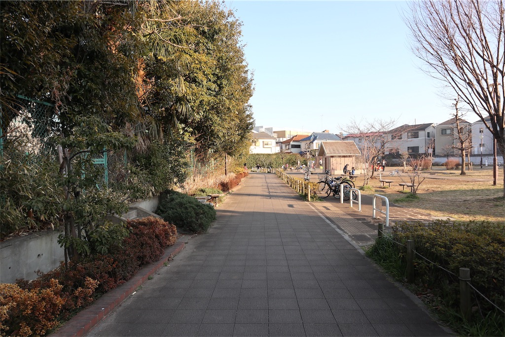 f:id:chizuchizuko:20190217213952j:image