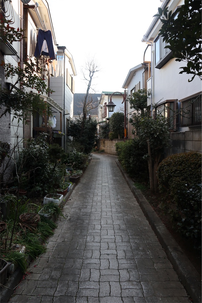 f:id:chizuchizuko:20190217214039j:image