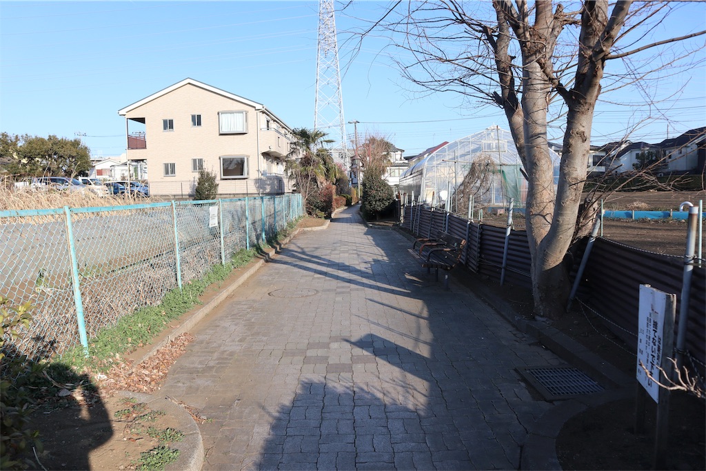 f:id:chizuchizuko:20190217214136j:image