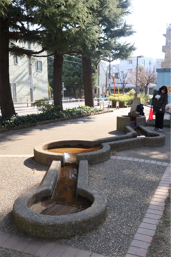 f:id:chizuchizuko:20190218225717j:plain