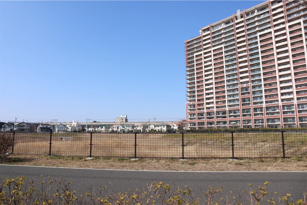 f:id:chizuchizuko:20190223221008j:image