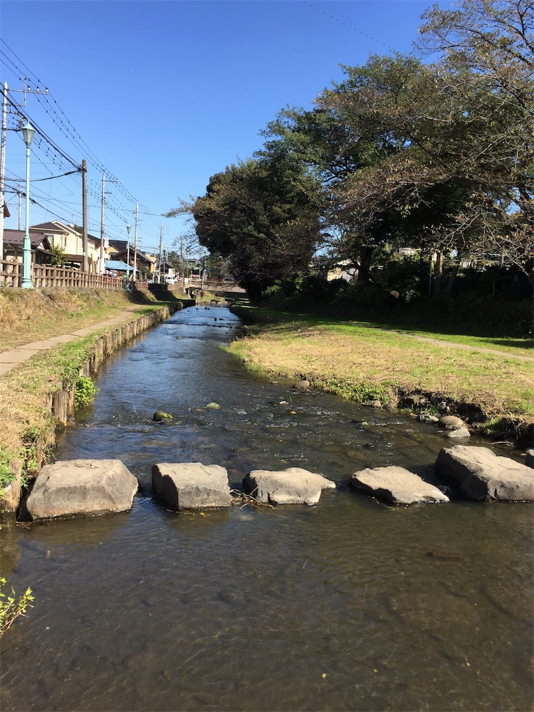 f:id:chizuchizuko:20190226224642j:image