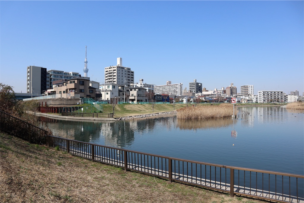 f:id:chizuchizuko:20190309204756j:image f:id:chizuchizuko:20190309204756j:image