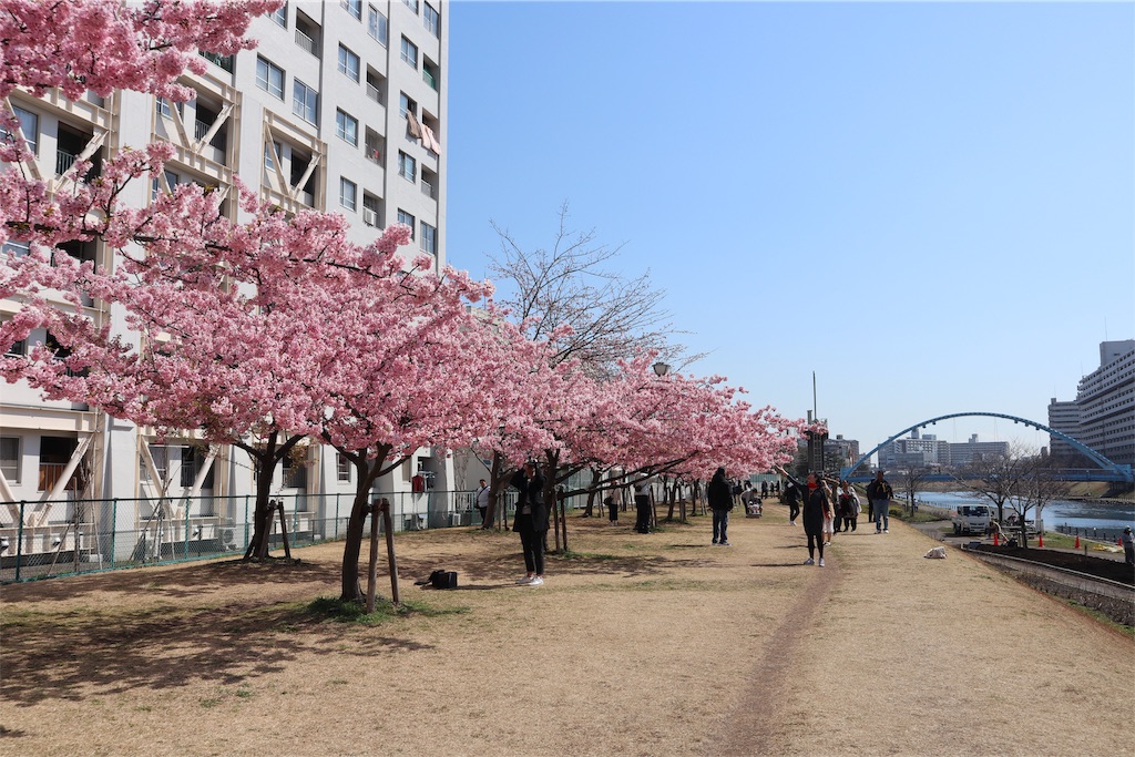 f:id:chizuchizuko:20190309204836j:image f:id:chizuchizuko:20190309204836j:image