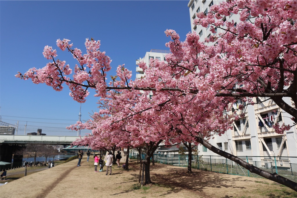 f:id:chizuchizuko:20190309204902j:image f:id:chizuchizuko:20190309204902j:image
