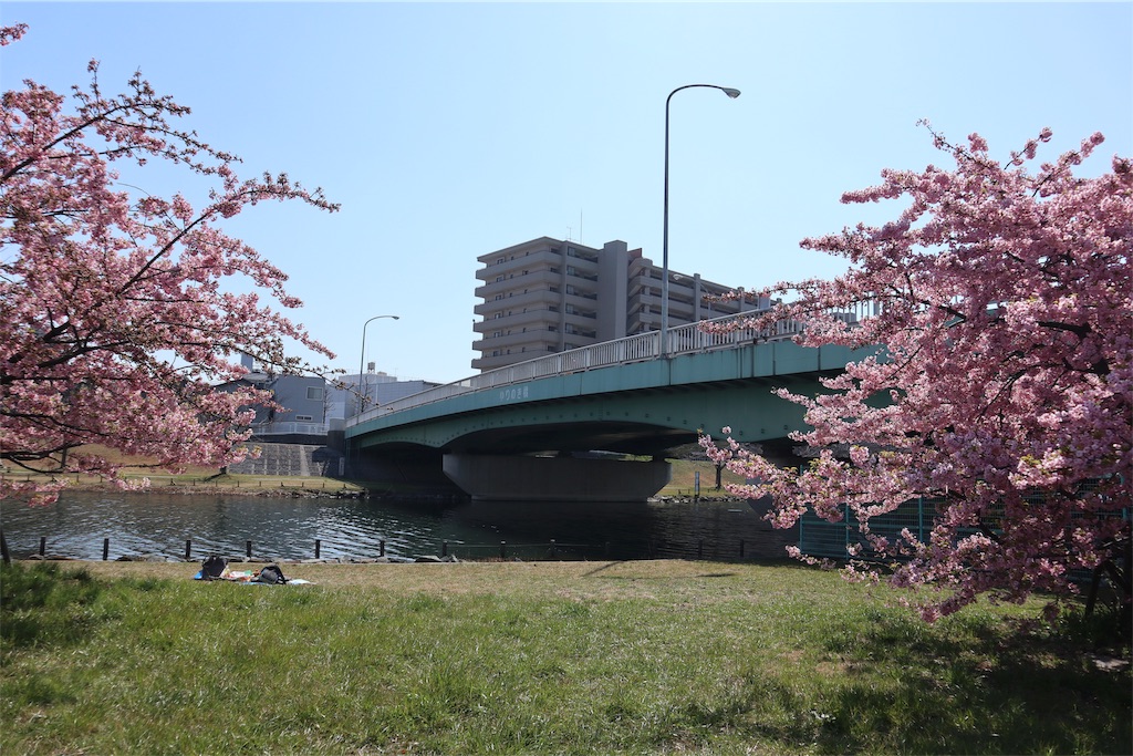 f:id:chizuchizuko:20190309205546j:image f:id:chizuchizuko:20190309205546j:image