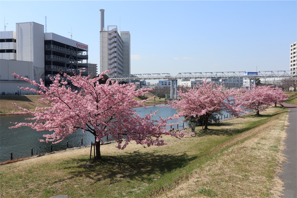f:id:chizuchizuko:20190309205555j:plain f:id:chizuchizuko:20190309205555j:plain