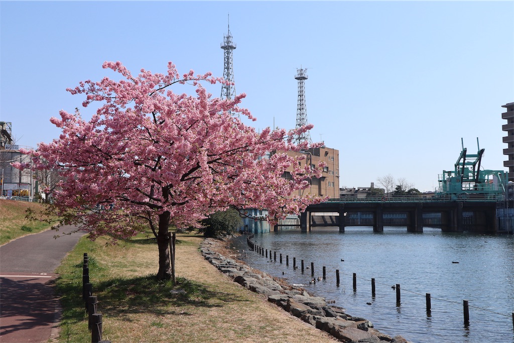 f:id:chizuchizuko:20190309205704j:image f:id:chizuchizuko:20190309205704j:image
