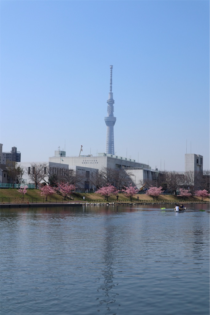 f:id:chizuchizuko:20190309205711j:image f:id:chizuchizuko:20190309205711j:image