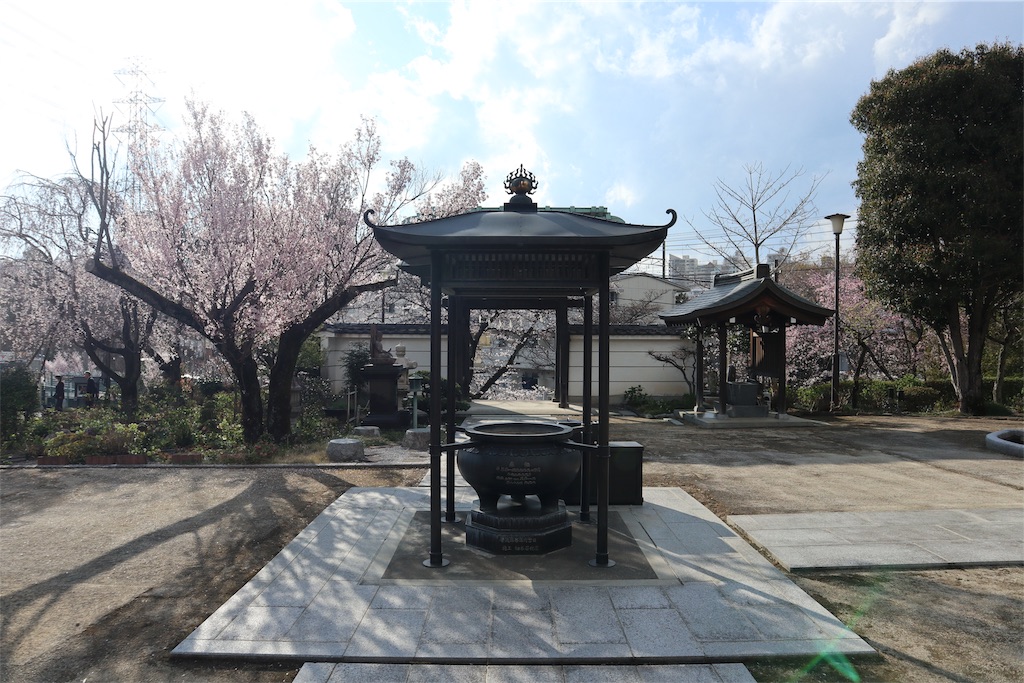 f:id:chizuchizuko:20190331202143j:image f:id:chizuchizuko:20190331202143j:image