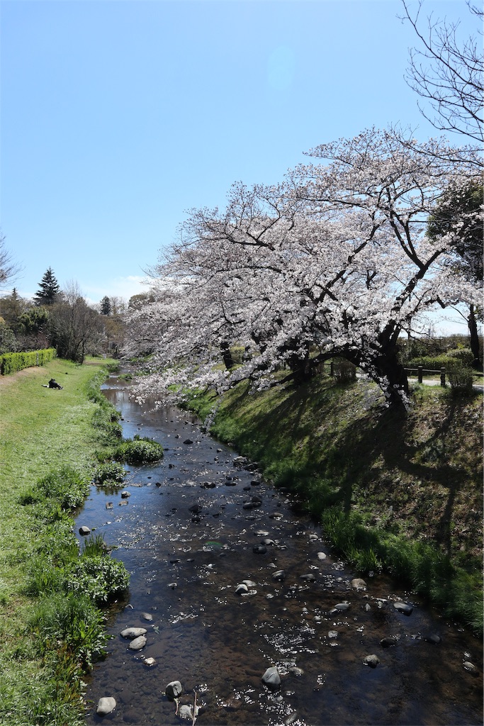 f:id:chizuchizuko:20190401190303j:image