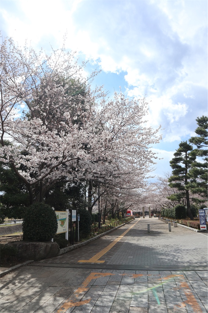 f:id:chizuchizuko:20190402194012j:image