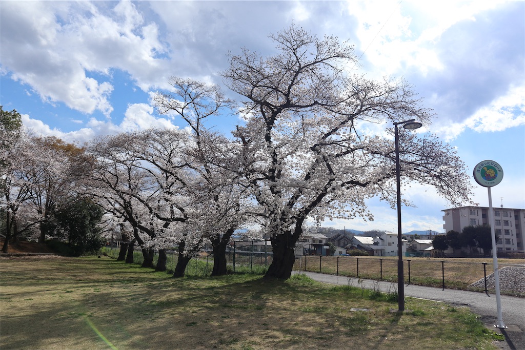 f:id:chizuchizuko:20190402194108j:image