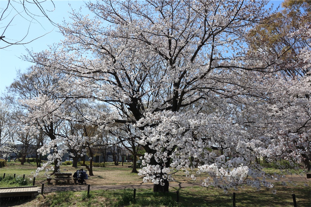 f:id:chizuchizuko:20190404212118j:image