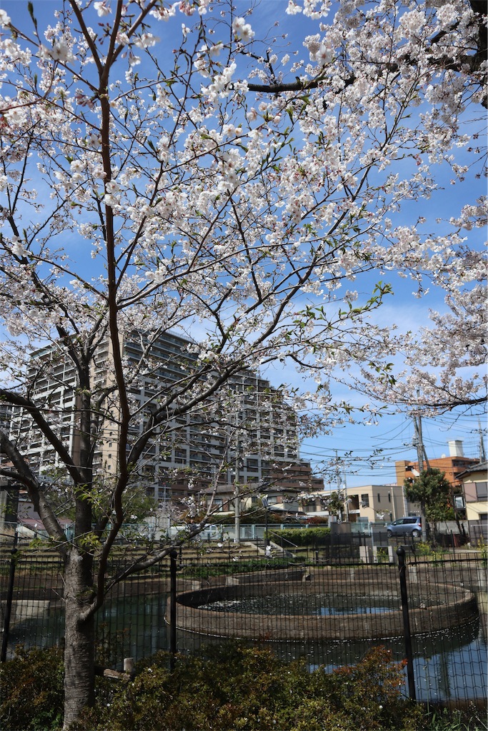 f:id:chizuchizuko:20190405215353j:image