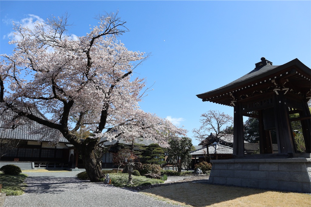 f:id:chizuchizuko:20190409213226j:image