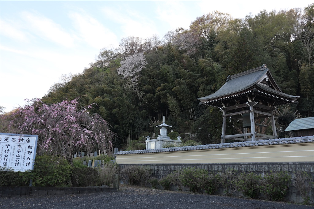 f:id:chizuchizuko:20190409214856j:image