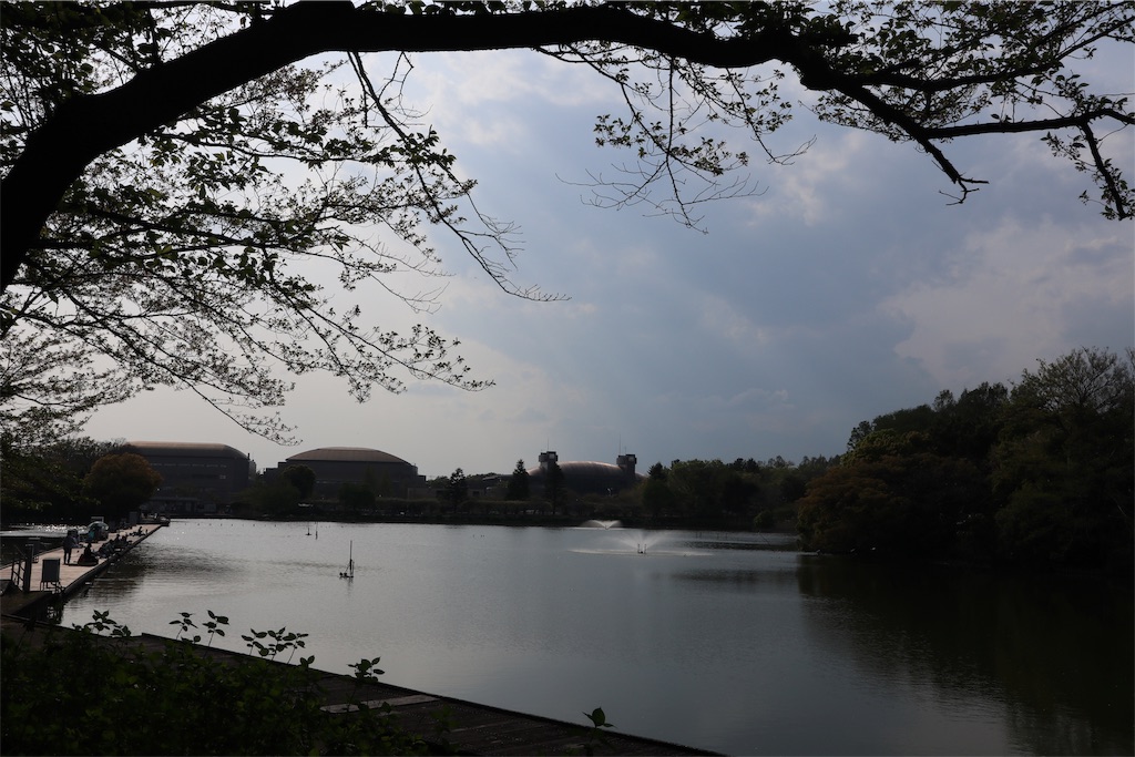 f:id:chizuchizuko:20190427103949j:image f:id:chizuchizuko:20190427103949j:image