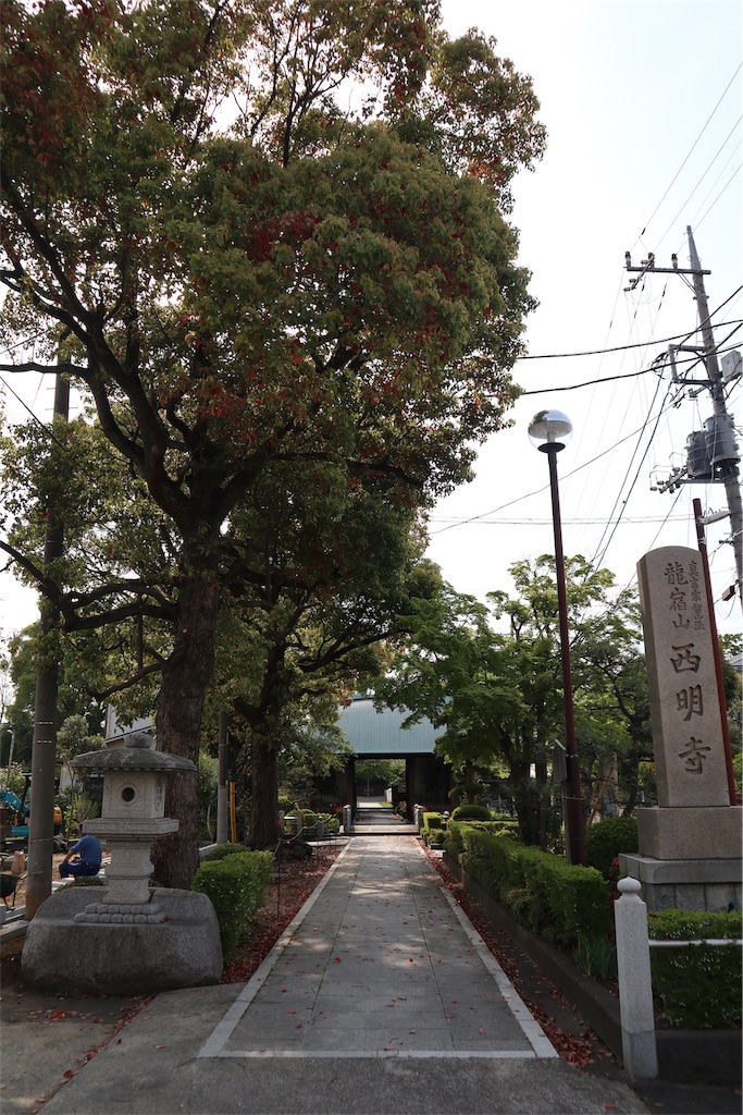 f:id:chizuchizuko:20190427104003j:image f:id:chizuchizuko:20190427104003j:image