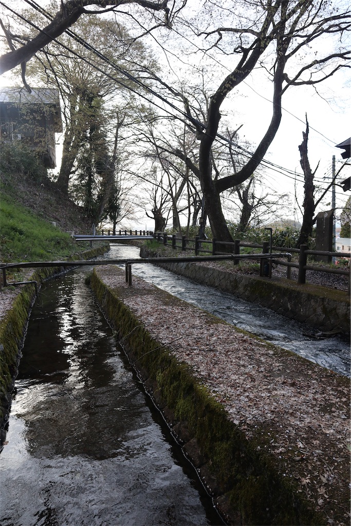 f:id:chizuchizuko:20190429104627j:image
