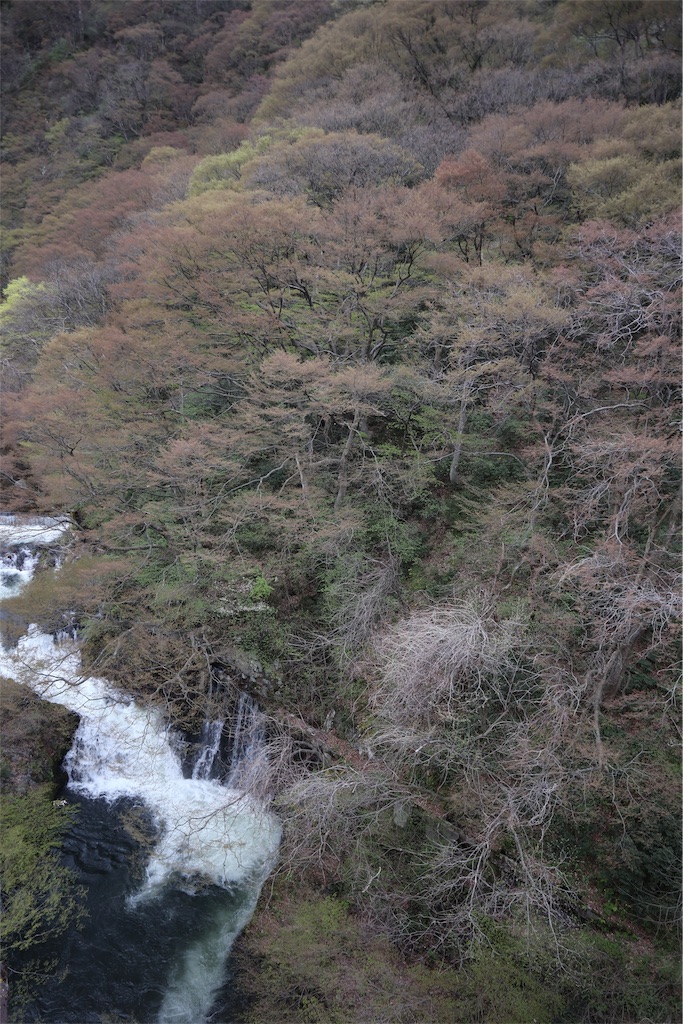 f:id:chizuchizuko:20190429104717j:image