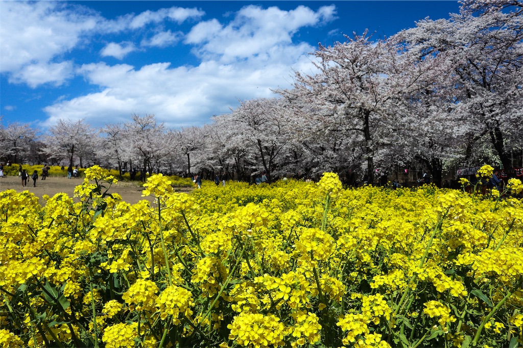 f:id:chizuchizuko:20190507190540j:plain